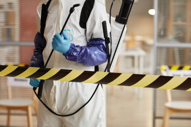 Professional Sewage Cleanup technician working in Lehi, UT